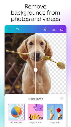 Capture d’écran Canva 6